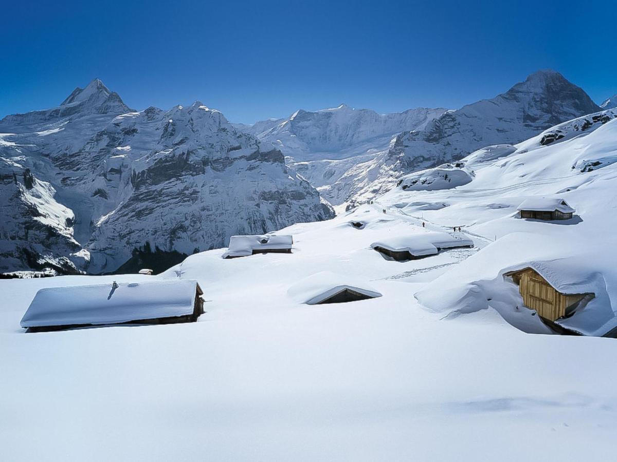 Apartment Chalet Beausite By Interhome Grindelwald Exterior photo